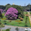 cubbon park