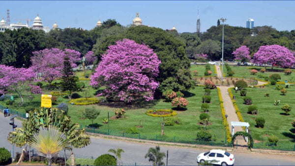 cubbon park