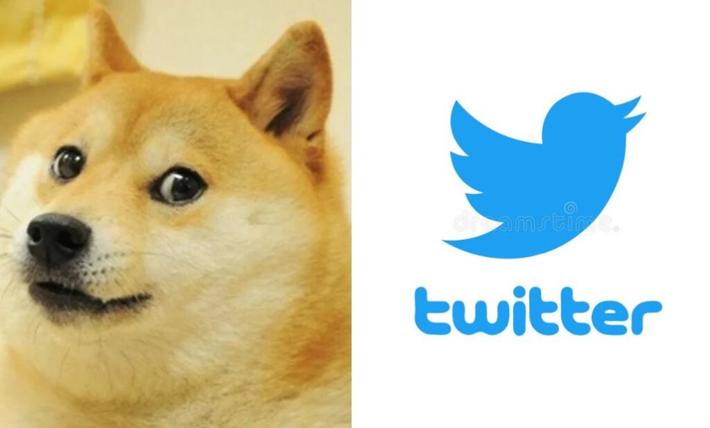 Twitter Gets A New Icon In The Form Of Doge : Users Confused - News Hamster