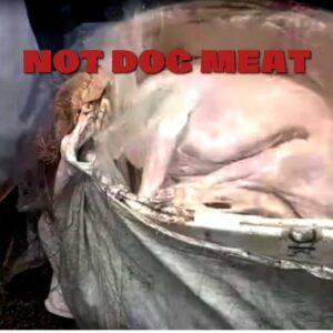 Dog Meat